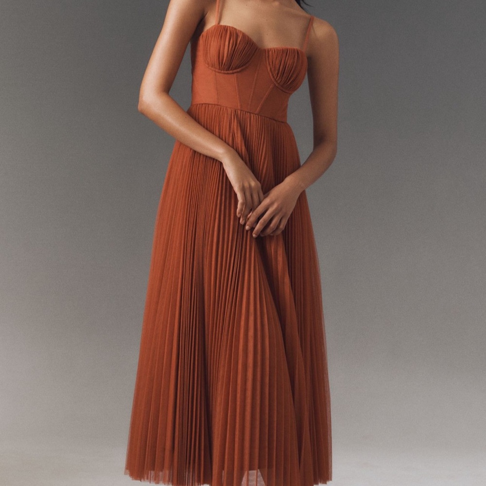 Hutch Rust Pleated Midi Dress